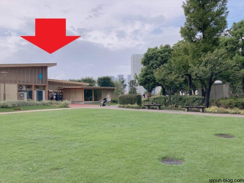 ブルーボトルコーヒー豊洲パークカフェに到着する様子