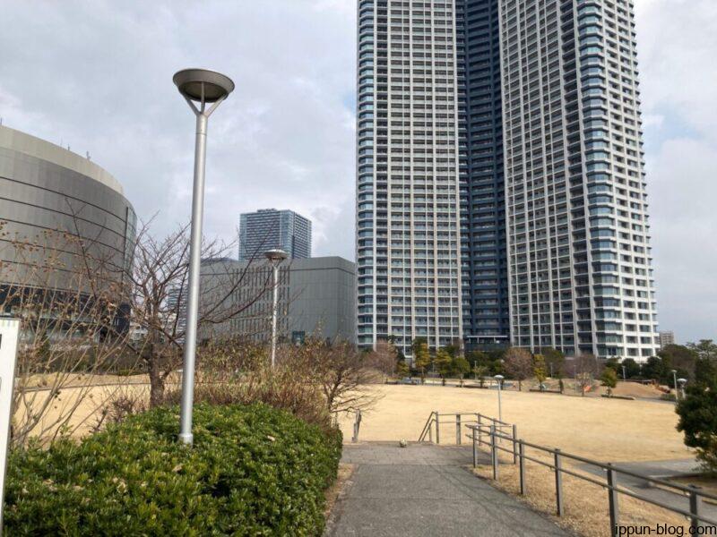 豊洲六丁目公園の芝生を捉えた画像