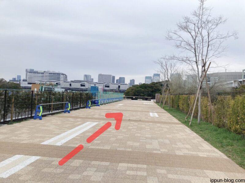 親水海浜公園を直進する画像