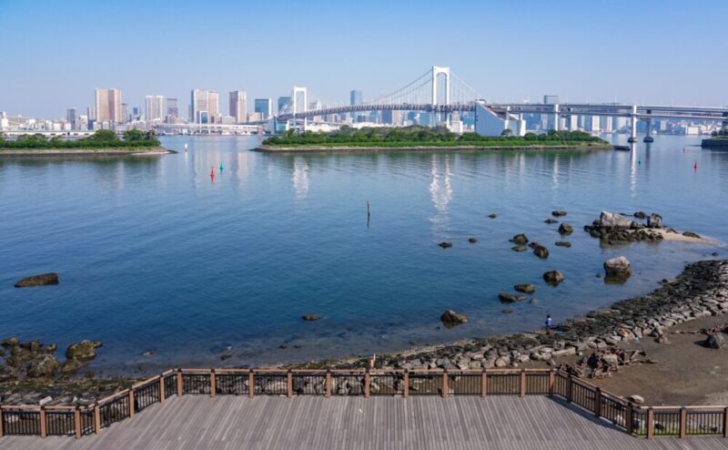 お台場海浜公園から望むレインボーブリッジ