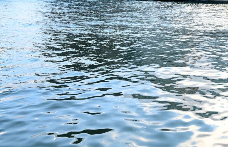 水面を彷彿とさせる画像
