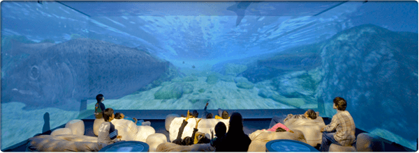 東京都水の科学館のシアター