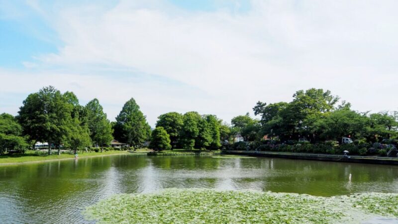水元公園の外観